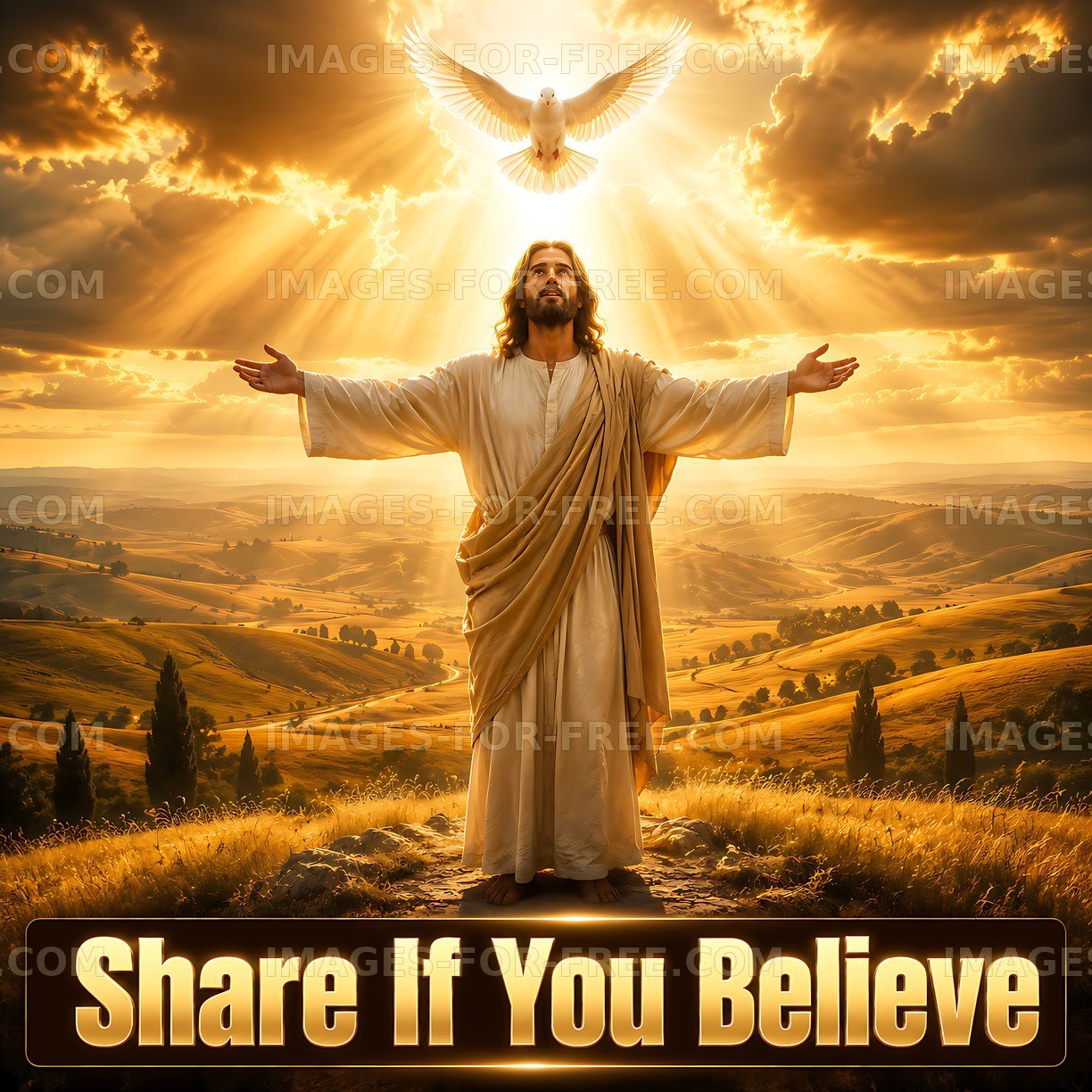 Jesus with open arms under a dove and bright sky