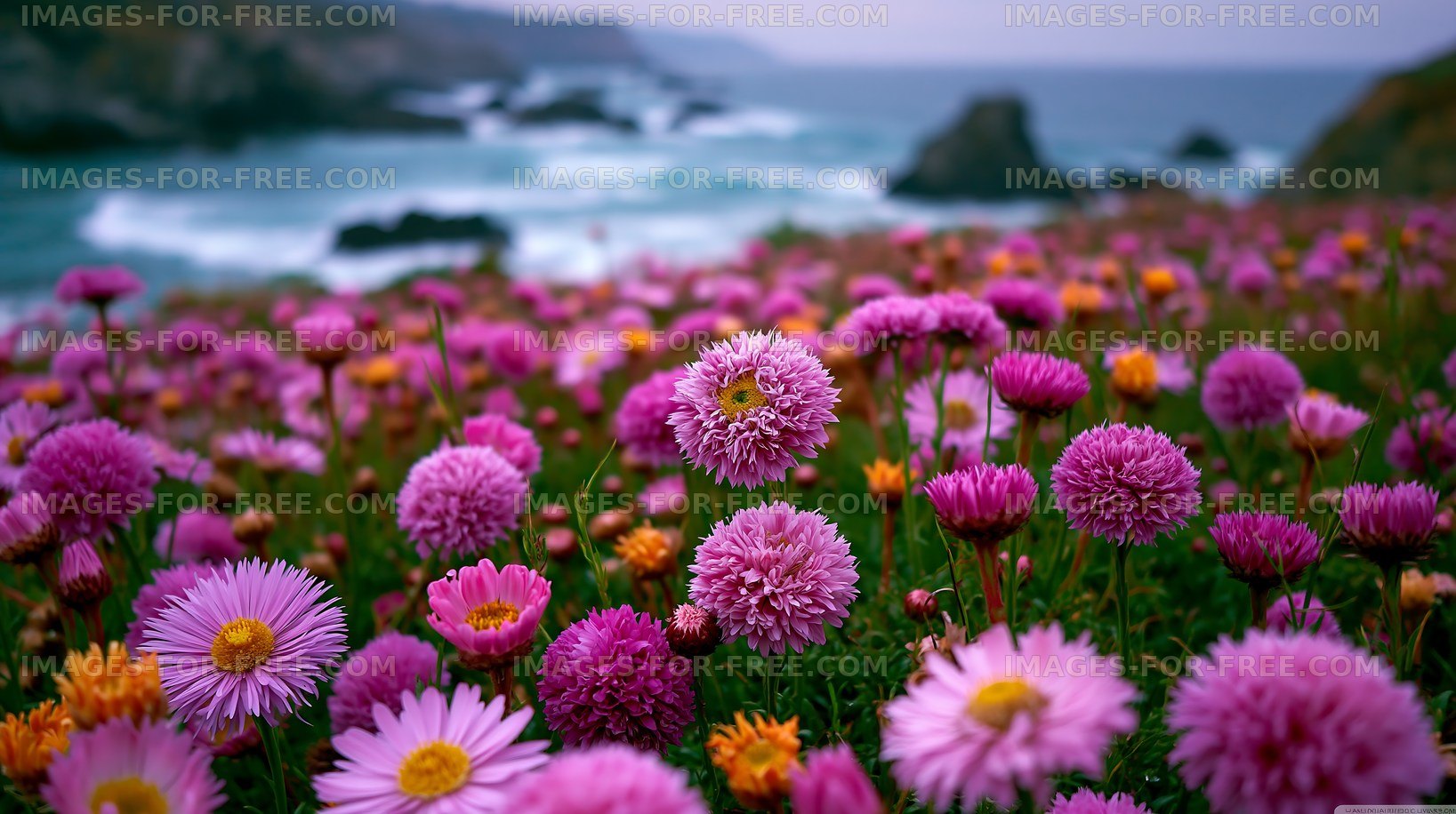 Flowers blooming near the ocean with waves in the background