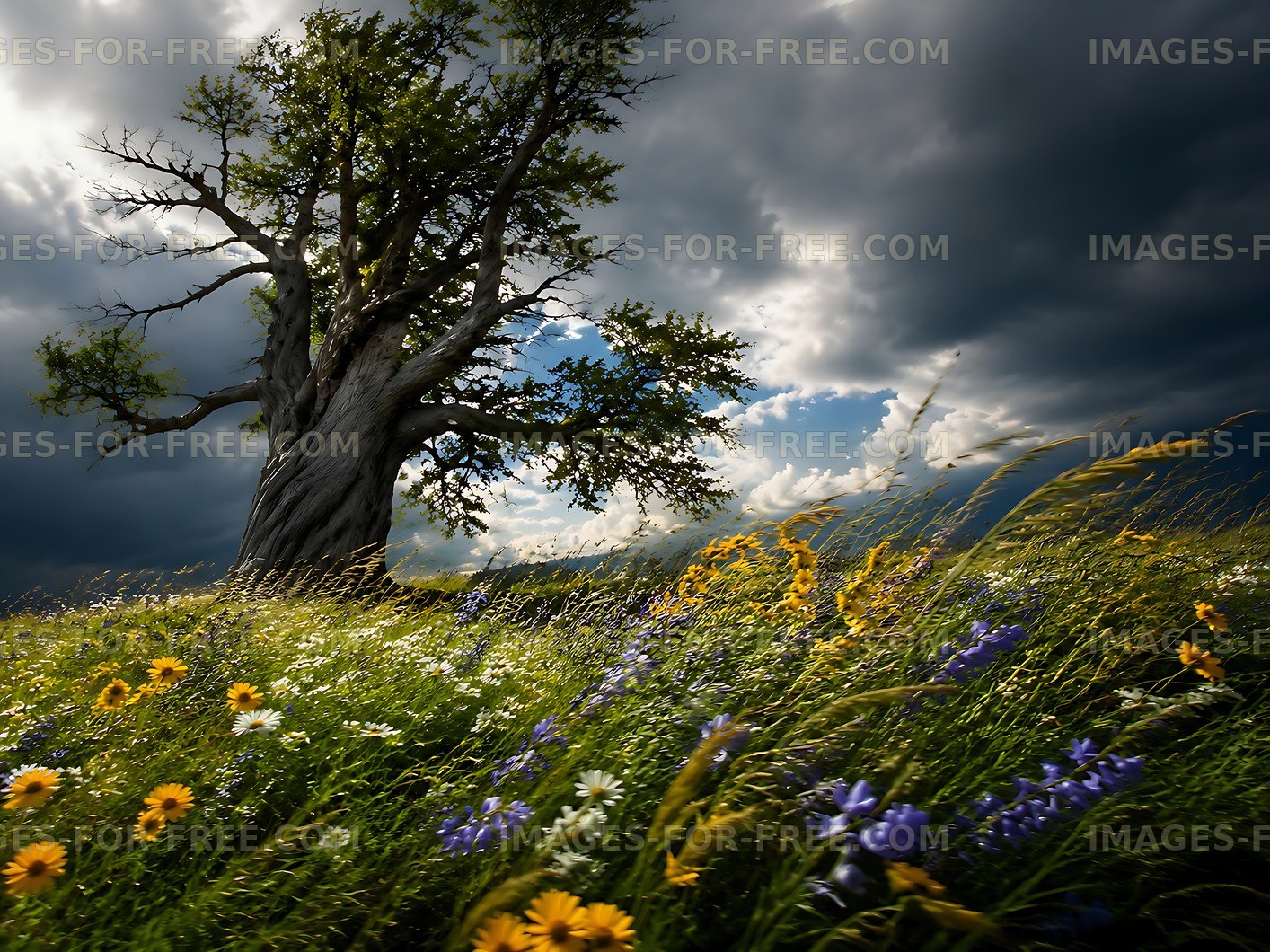 Tree in a field with flowers under a cloudy sky