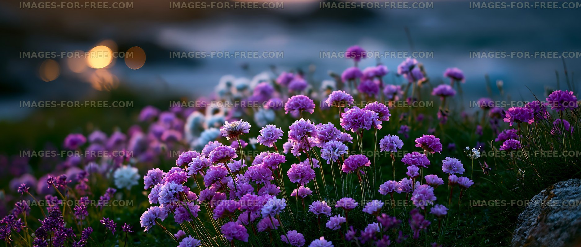 Colorful flowers bloom near the ocean at sunset