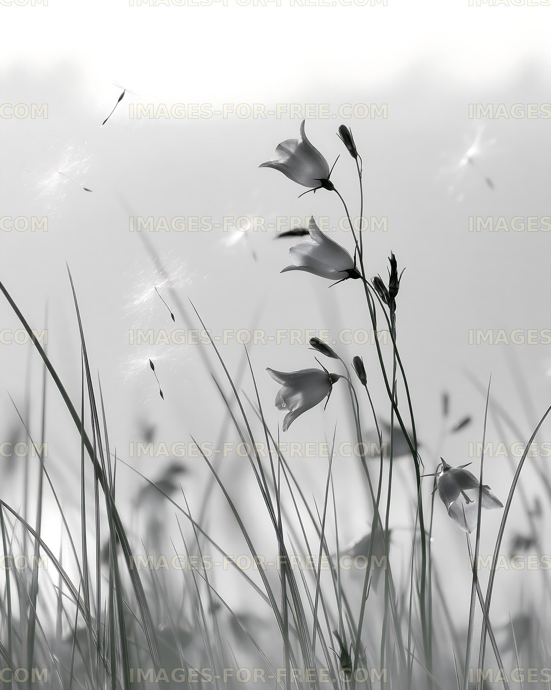 Flowers swaying in a field with gentle breeze