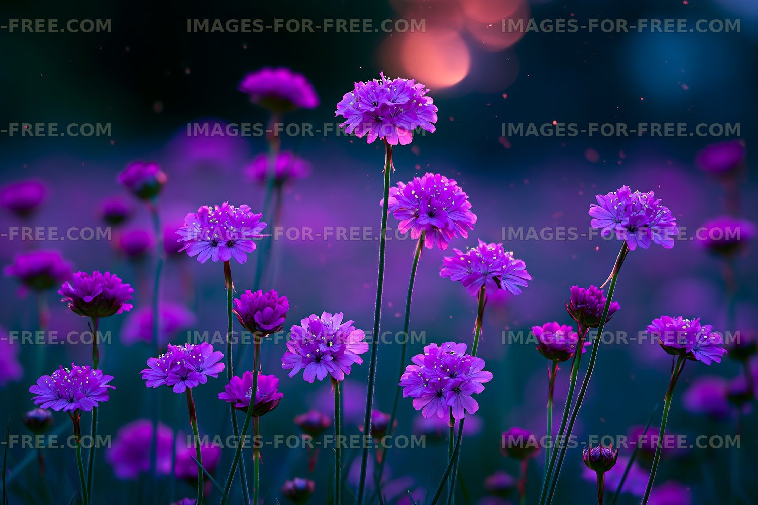 Vibrant purple flowers in a serene garden setting