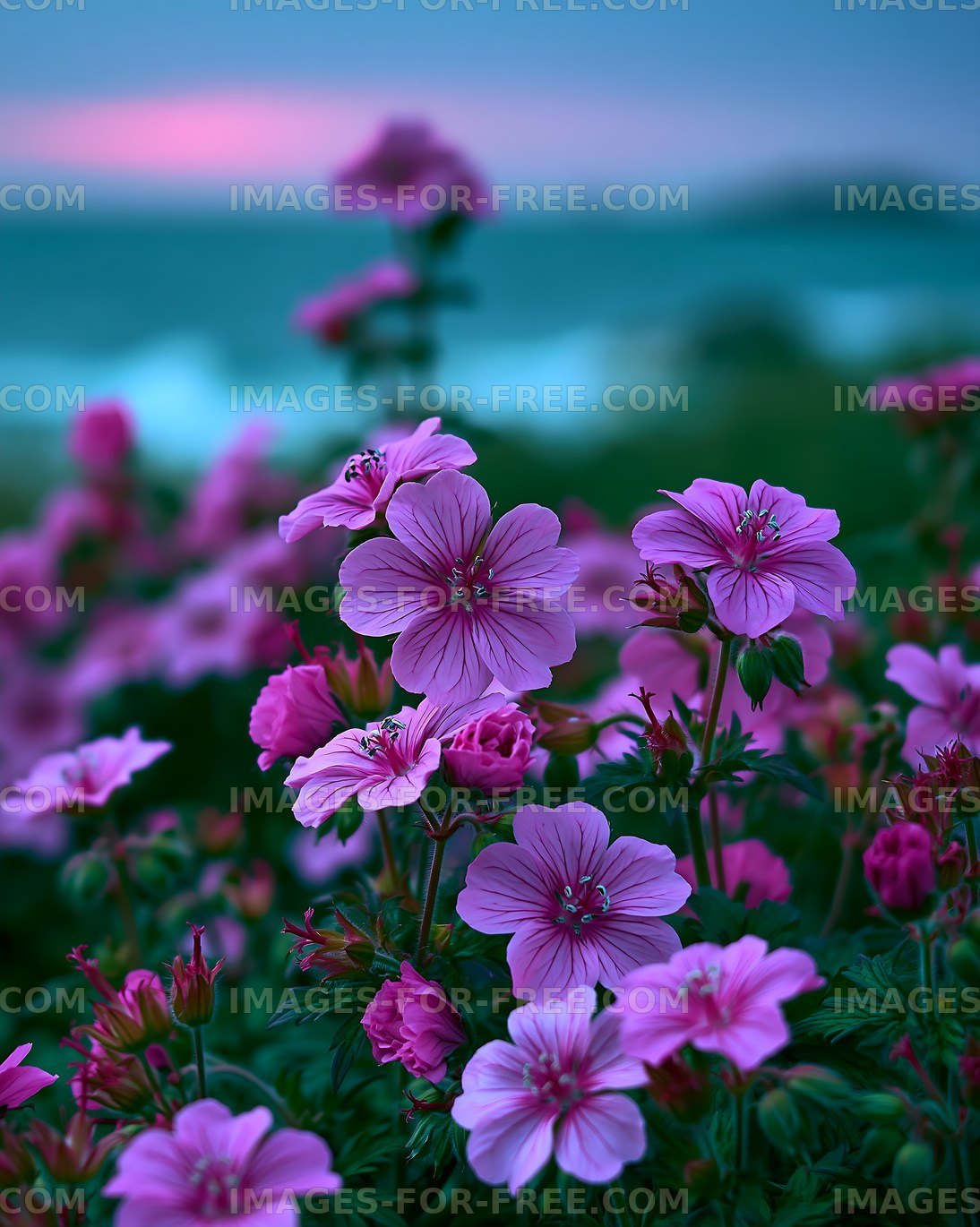 Flowers bloom near the shore at twilight with ocean background