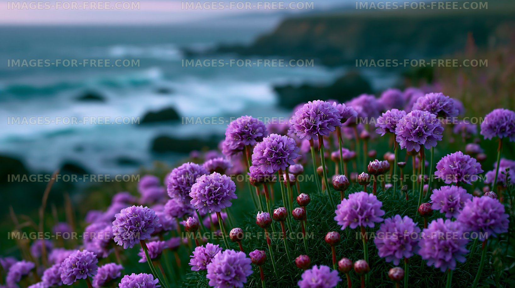 Vibrant flowers along the rocky coast at sunset