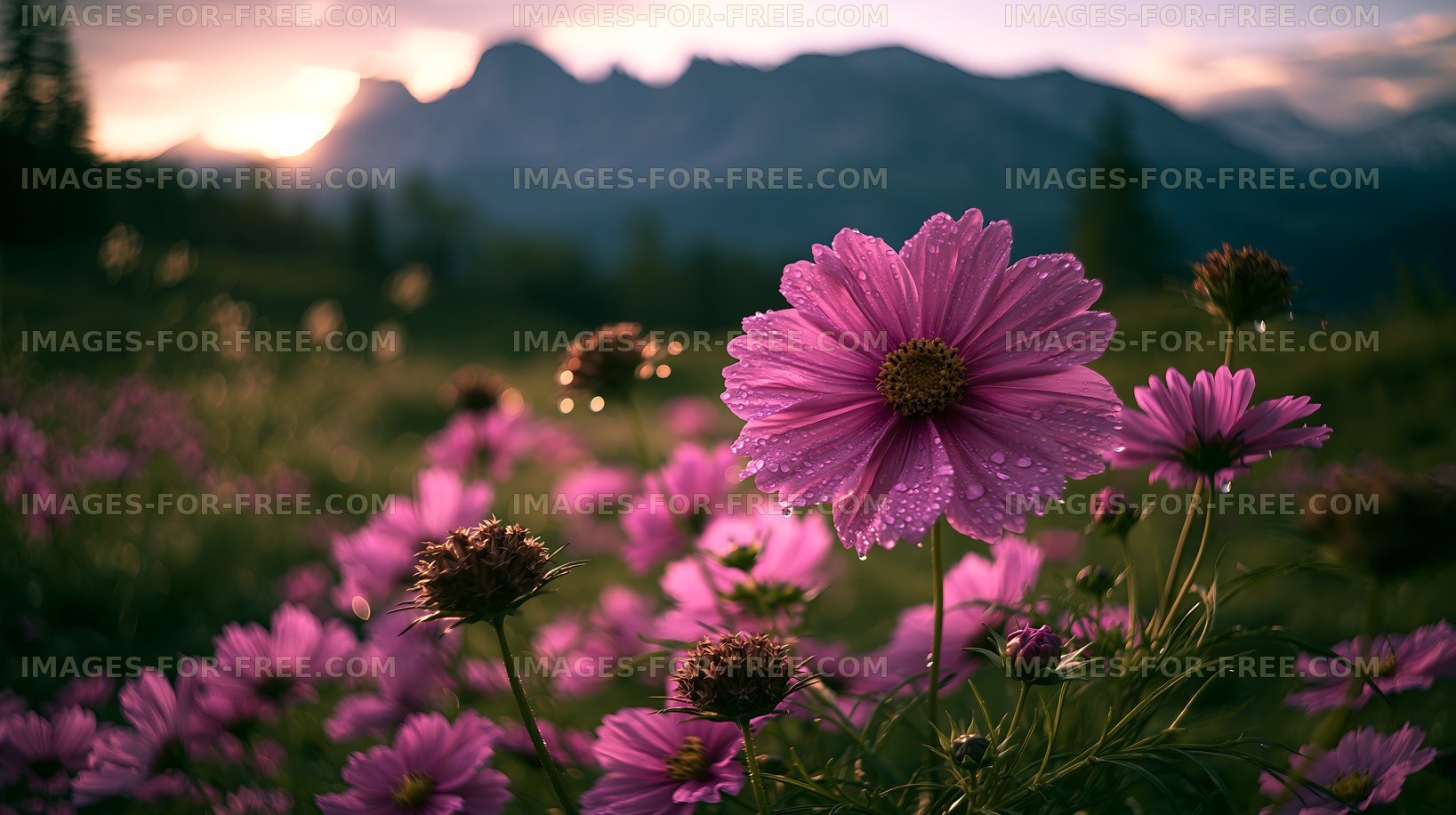 Flowers bloom in a field with mountains in the background