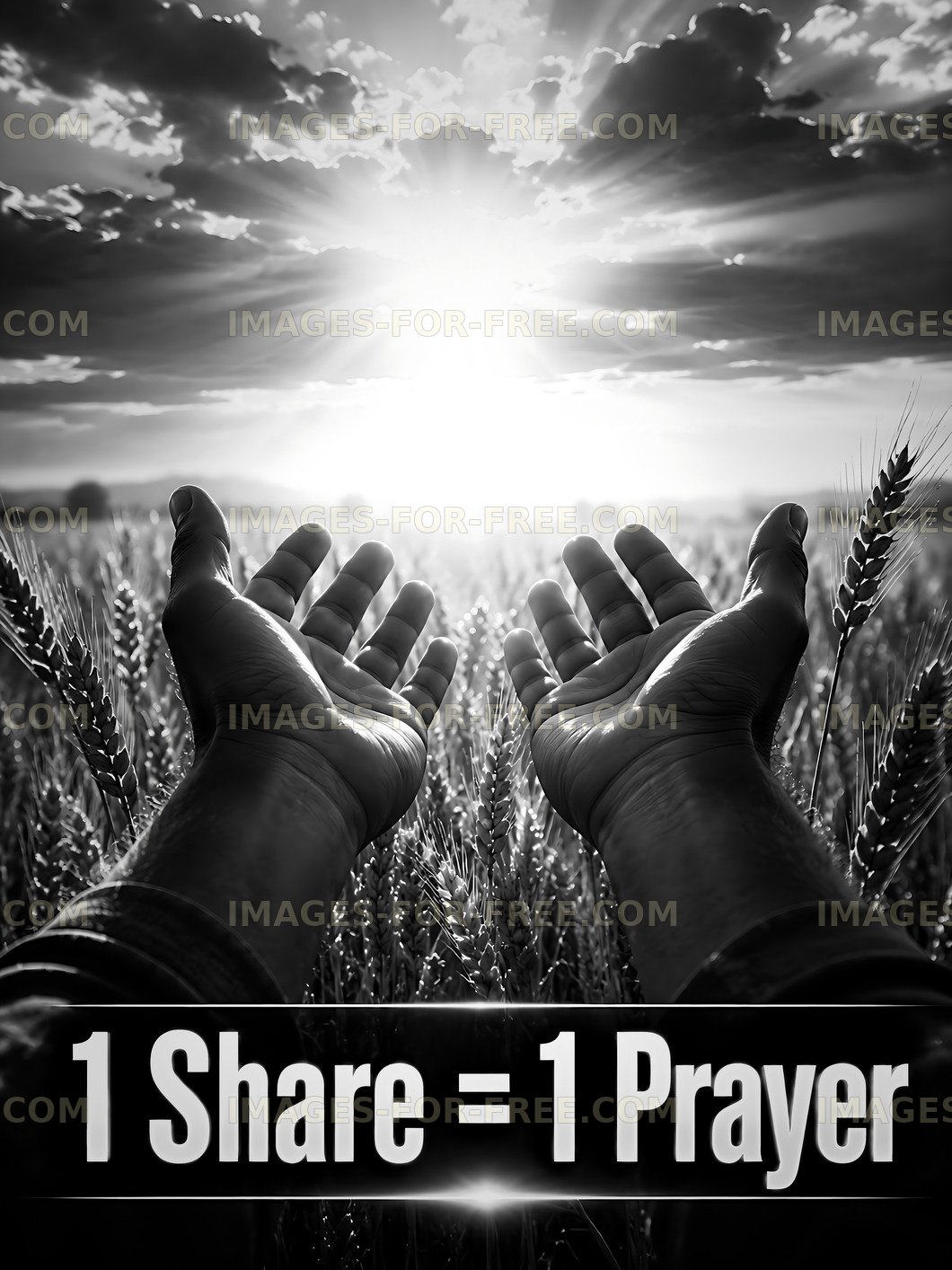 Hands raised in wheat field with sunset sky in background