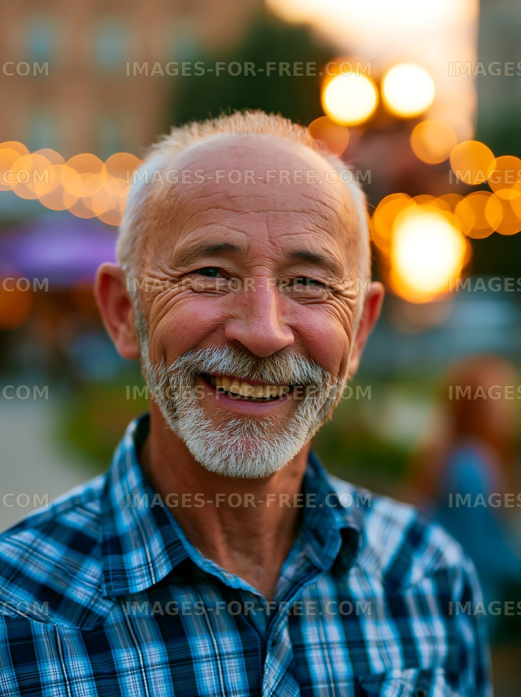 Smiling senior man enjoying outdoor gathering at sunset
