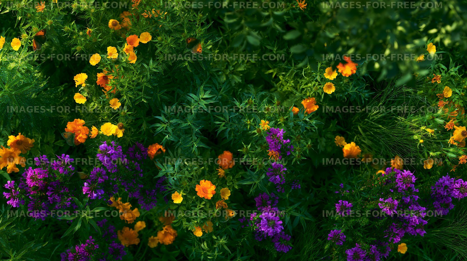 Colorful wildflowers blooming in a garden landscape
