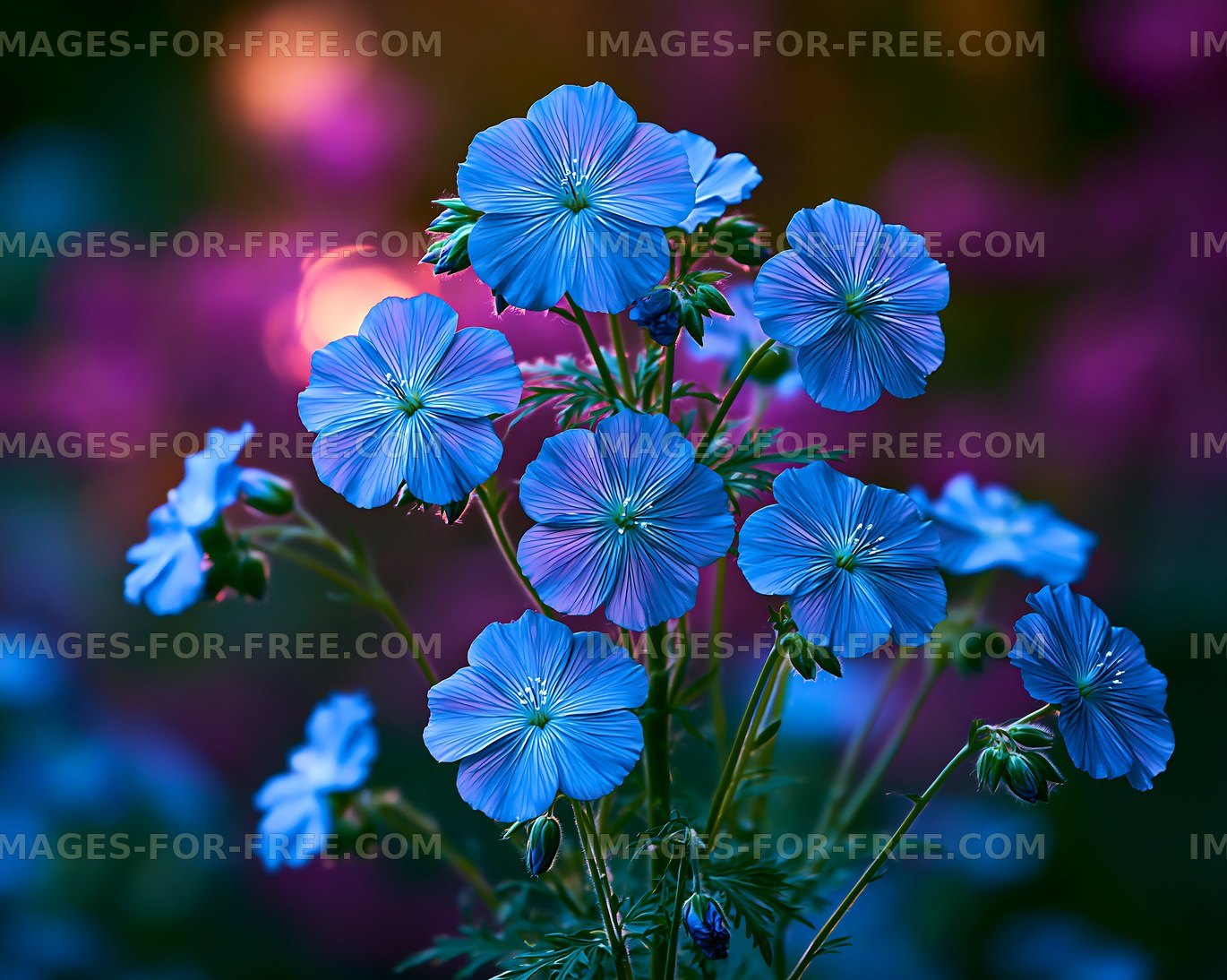 Blue flowers bloom in a garden during twilight