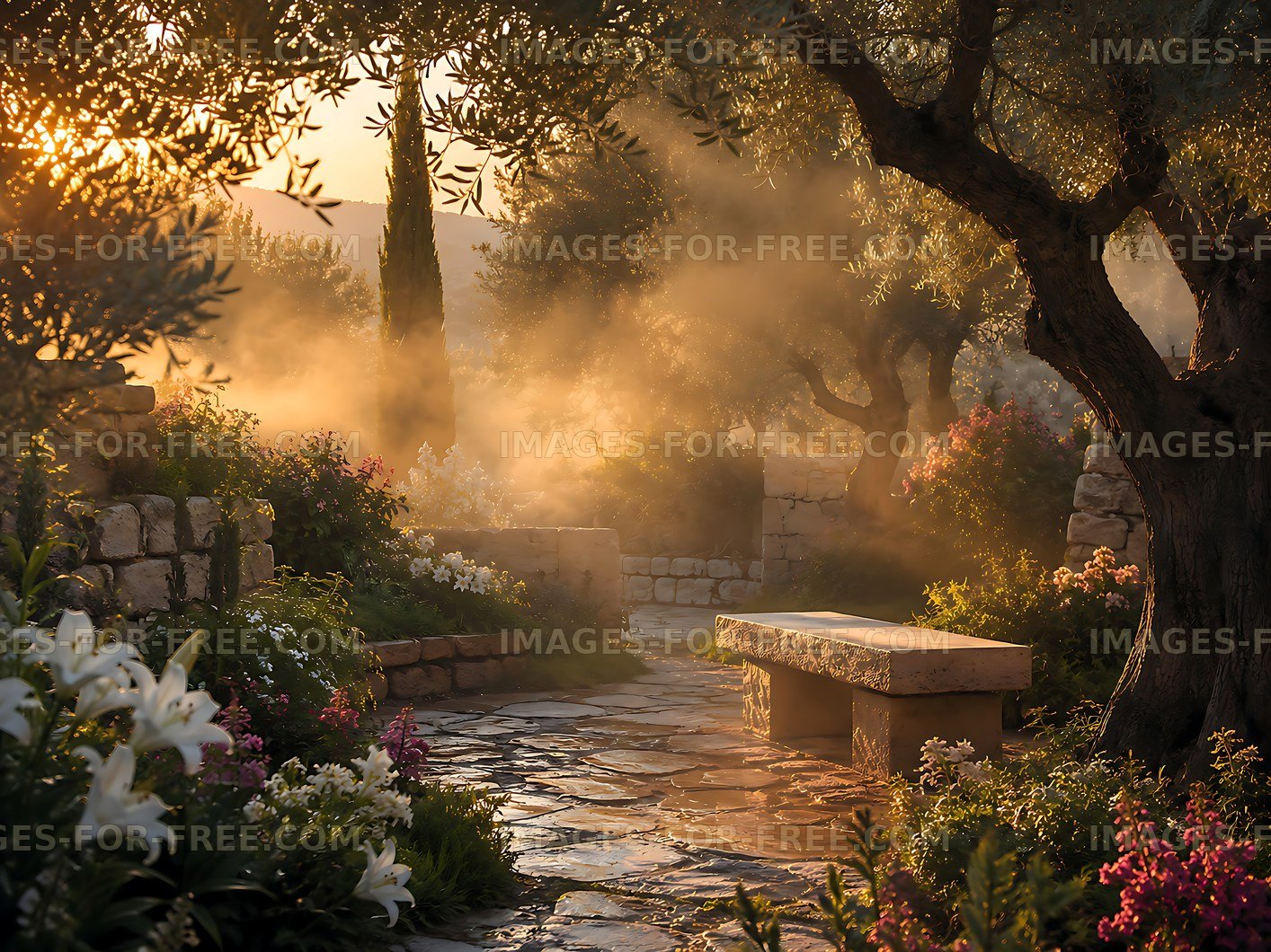 Sunlight filters through trees in garden path