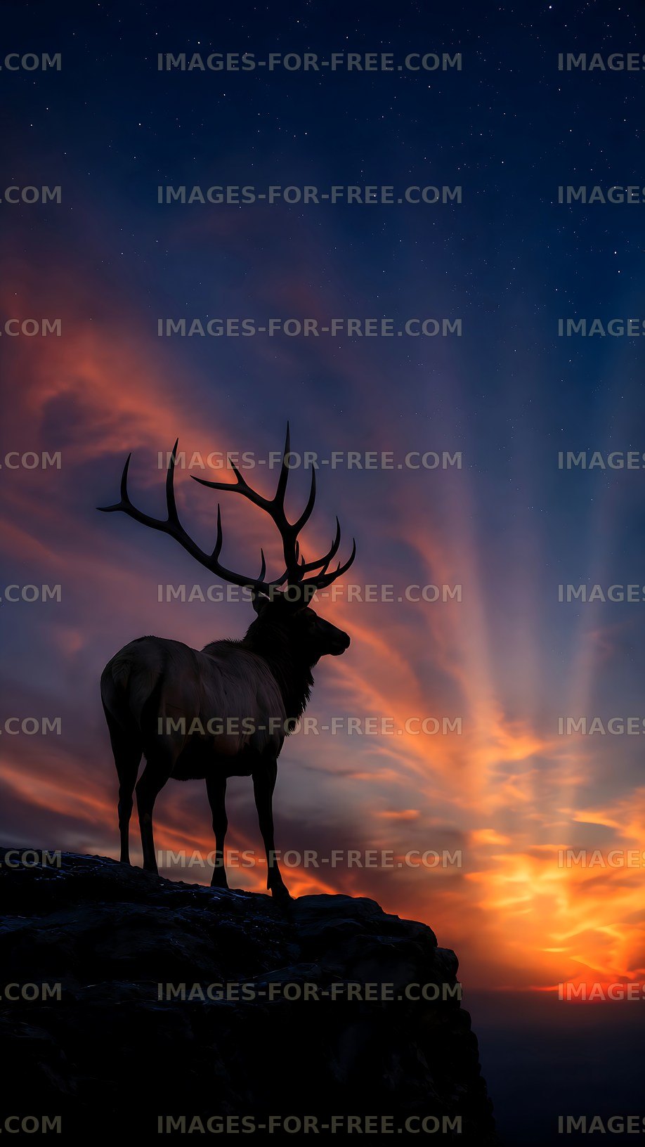 Elk silhouette against colorful sunset sky