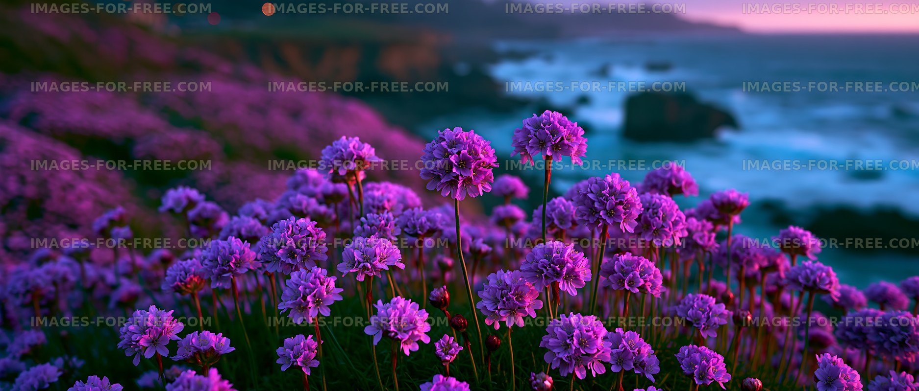 Purple flowers bloom by rocky coast at sunset