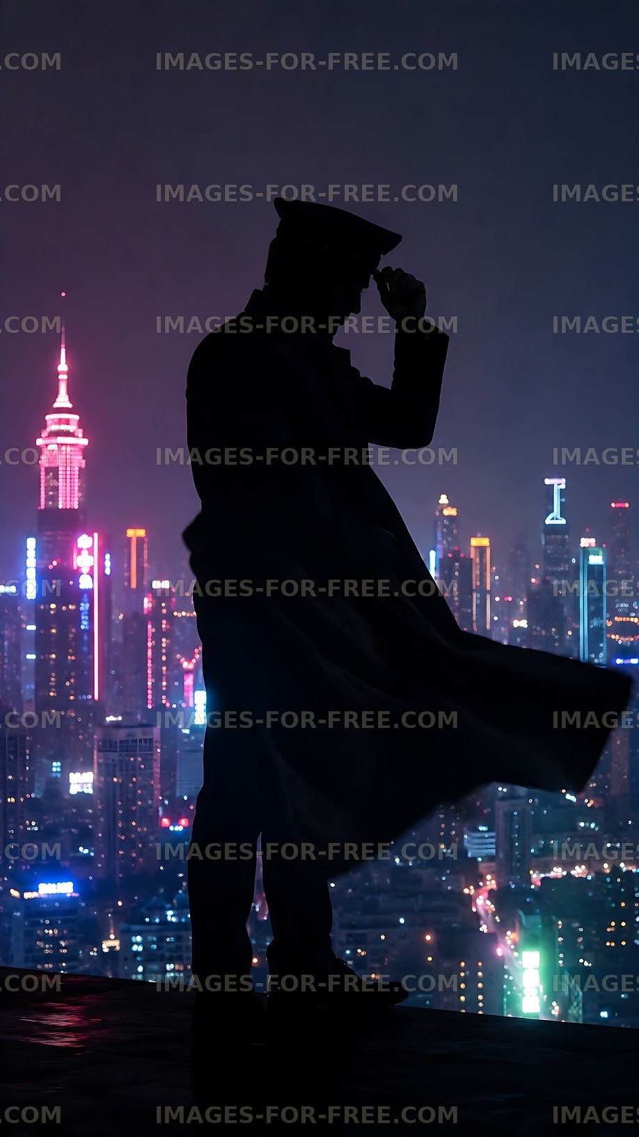 Silhouette of person in uniform overlooking city skyline at night