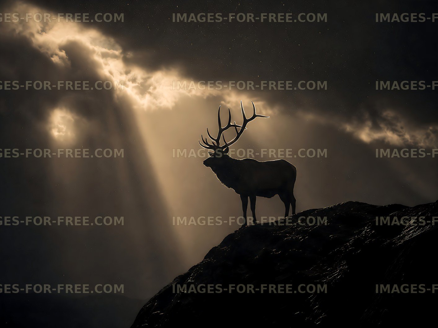 Silhouette of a stag against dark clouds and sunlight