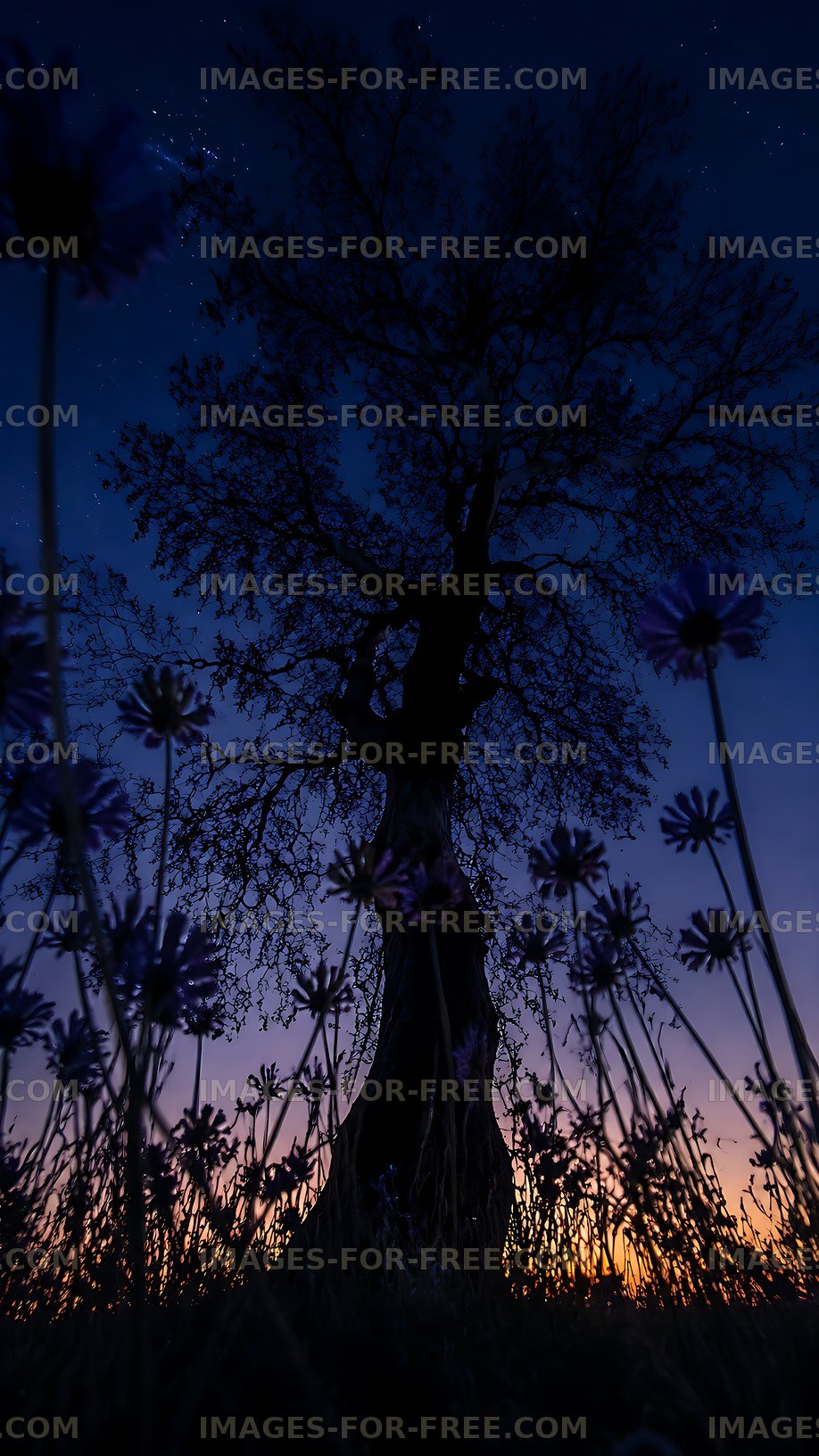 Silhouette of a tree at dusk with flowers in foreground