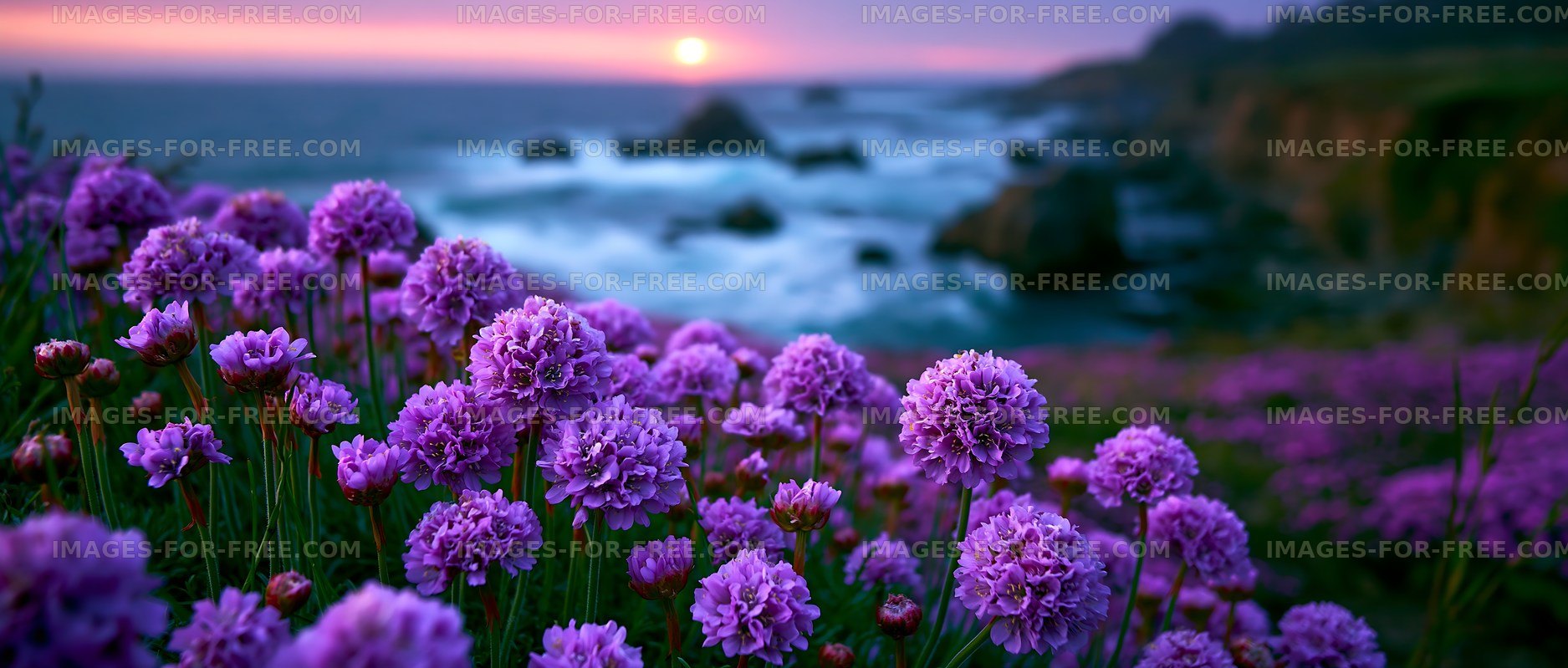 Colorful flowers bloom by the ocean during sunset