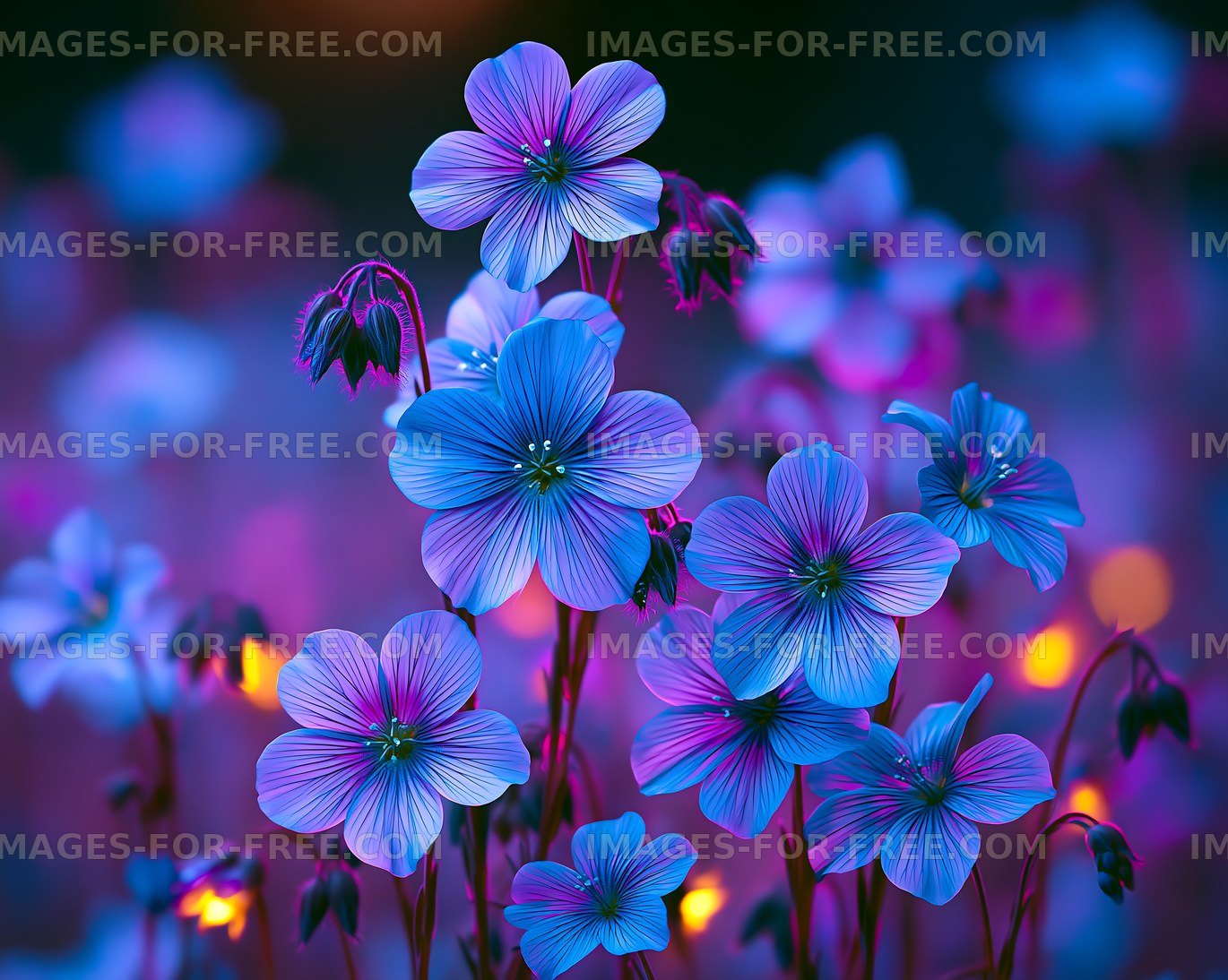 Vibrant blue flowers against a dark background