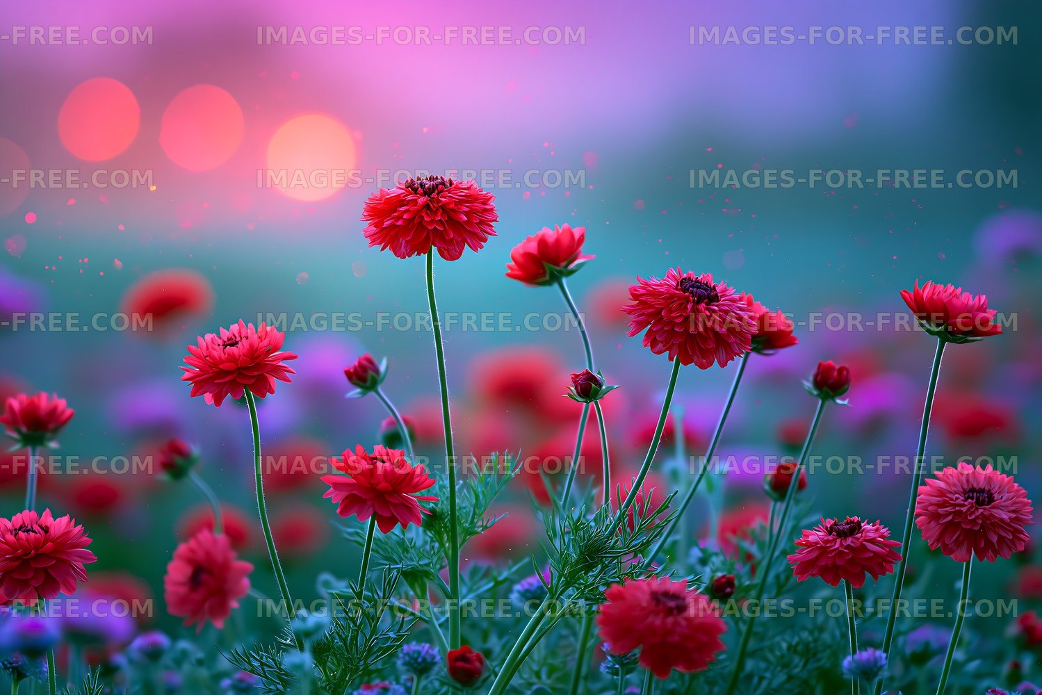 Red flowers bloom under pink and purple sunset sky