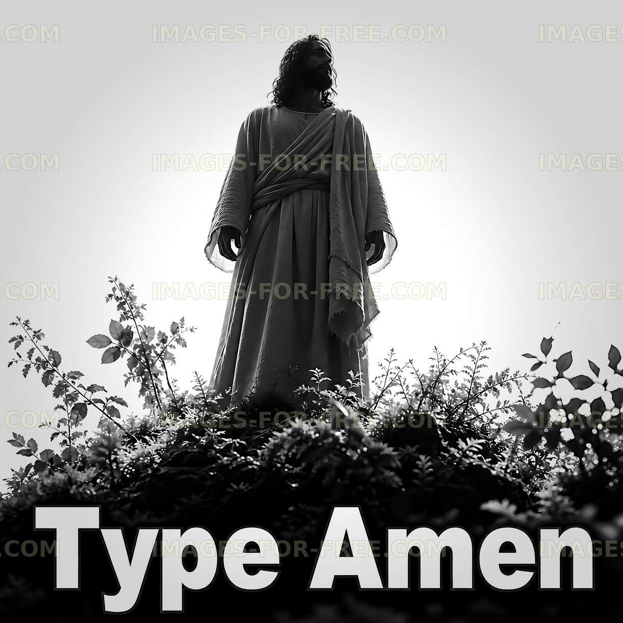 Silhouette of a figure standing on a hill among plants