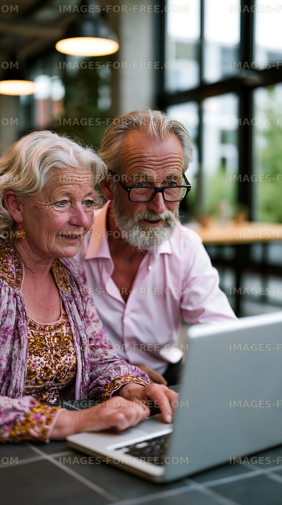 Elderly couple using laptop in modern cafe