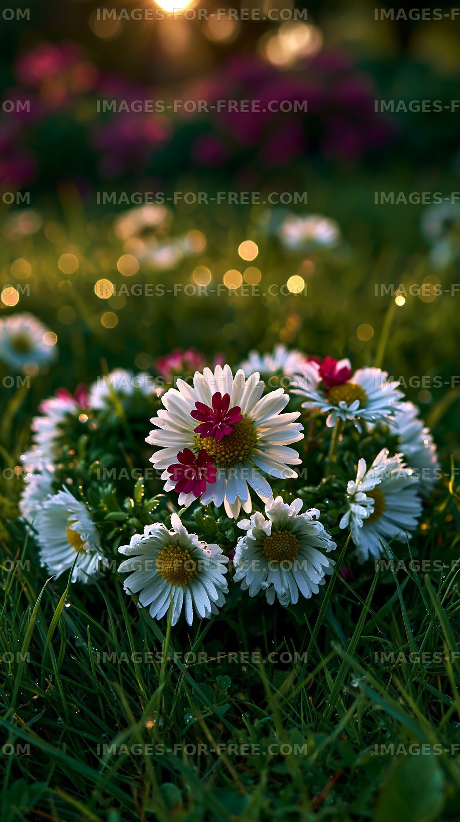 Colorful flowers in a circular arrangement on green grass