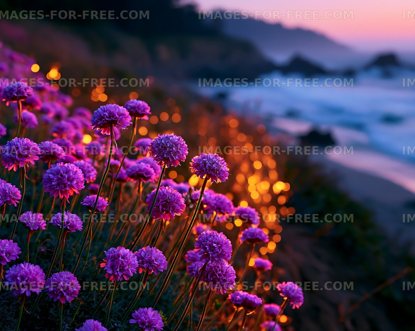 Vibrant purple flowers along a coastal shore at sunset