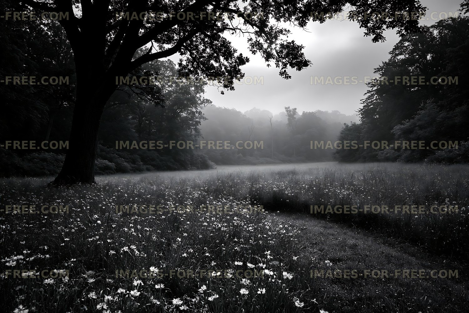 Field with flowers and large tree in foggy forest