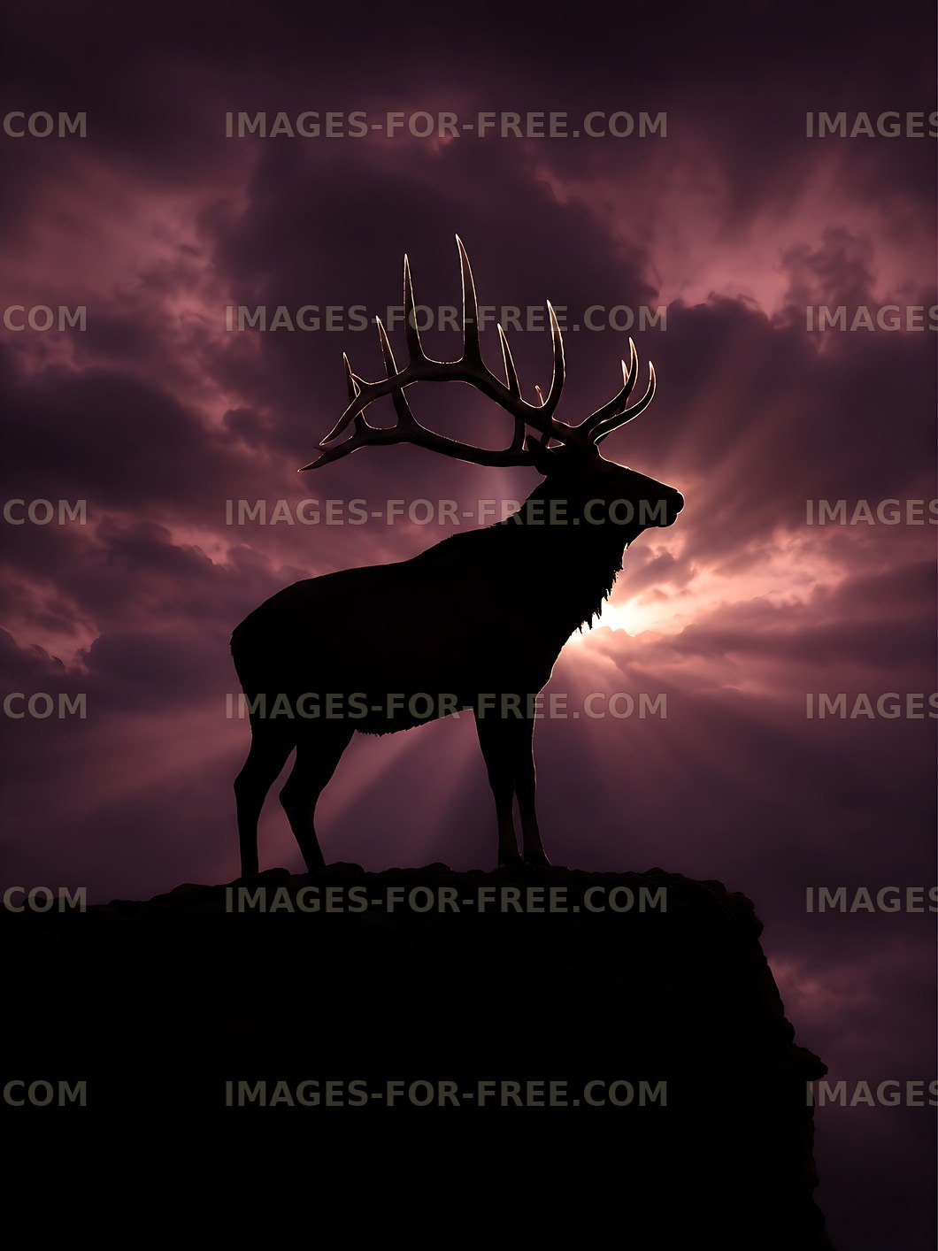 Silhouette of a stag against a cloudy sunset sky