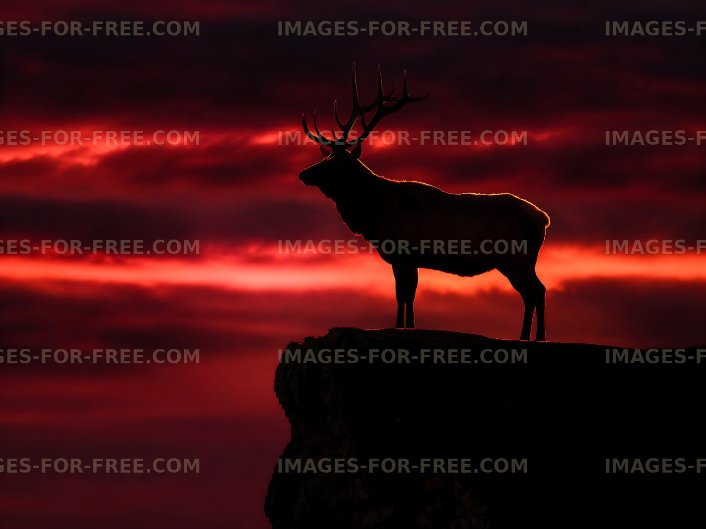 Silhouette of a deer against a colorful sunset sky