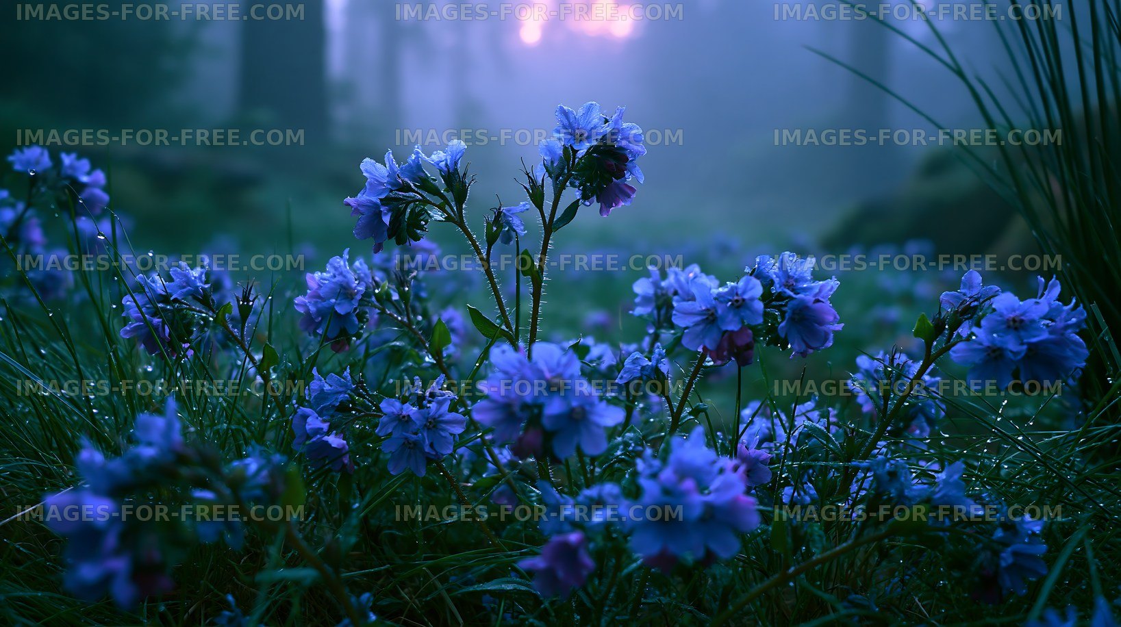 Blue flowers grow in a foggy forest at dawn