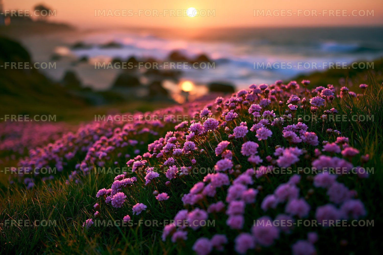 Sunset over ocean waves with flowers in the foreground