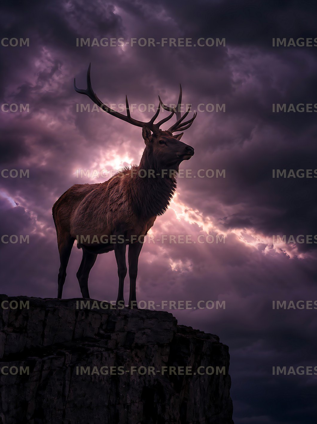 Stag stands on rocky ledge under dramatic sky
