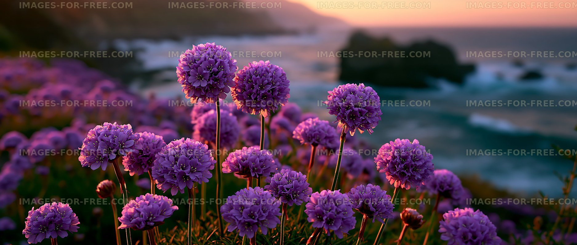 Purple flowers bloom by the ocean at sunset