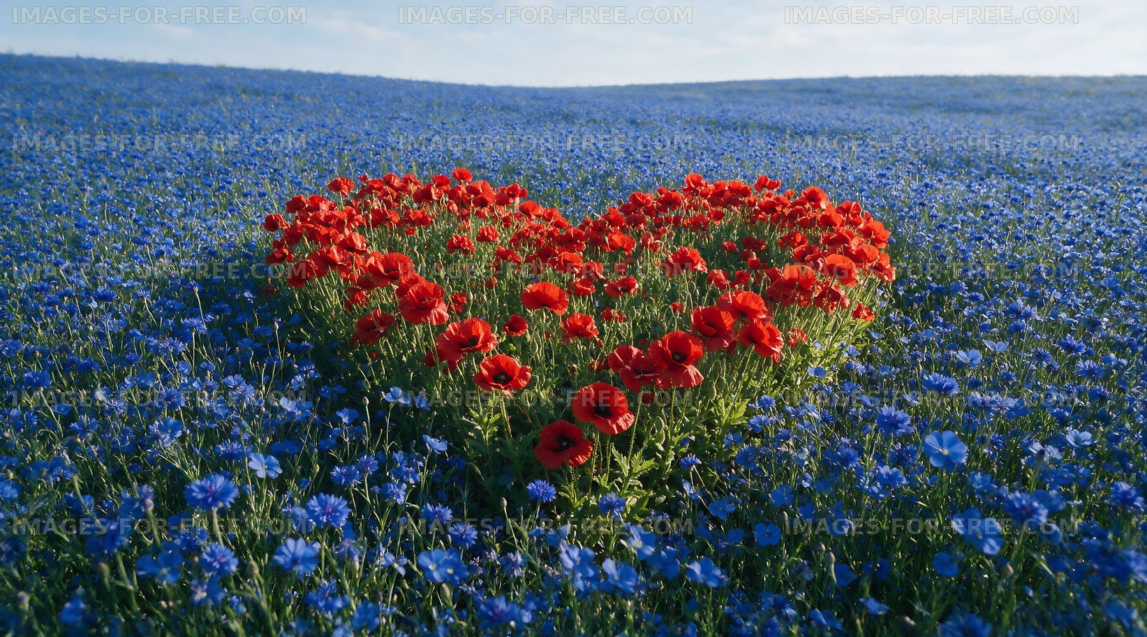 Red flowers in heart shape surrounded by blue flowers