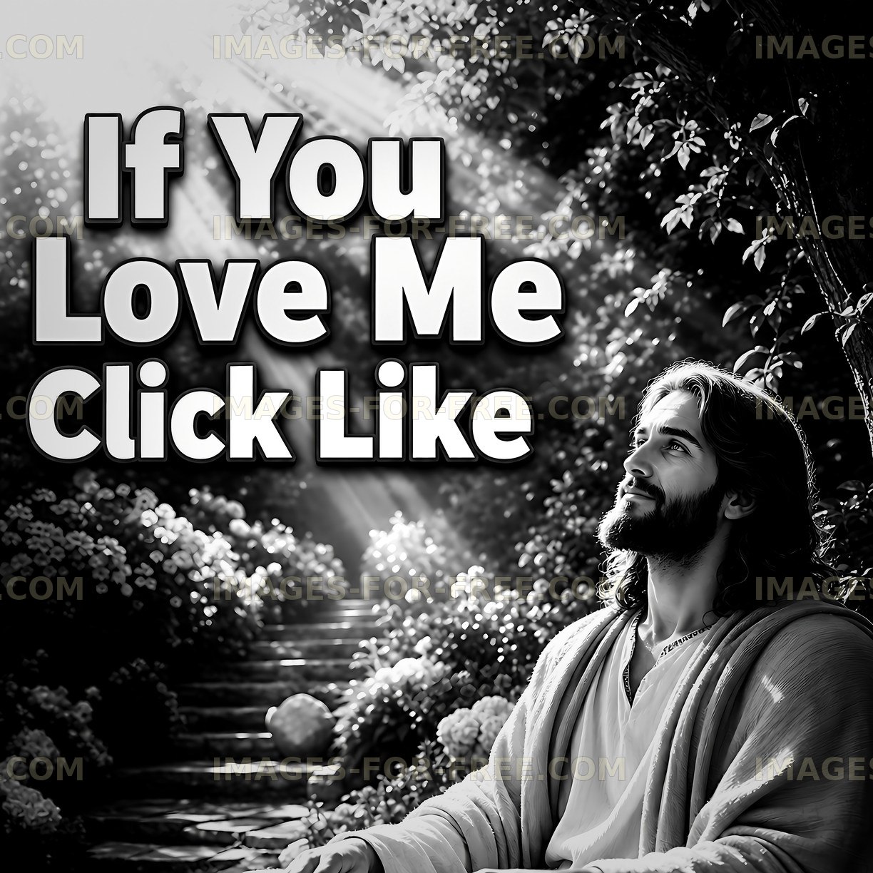 Jesus looking up in nature with light beams shining down