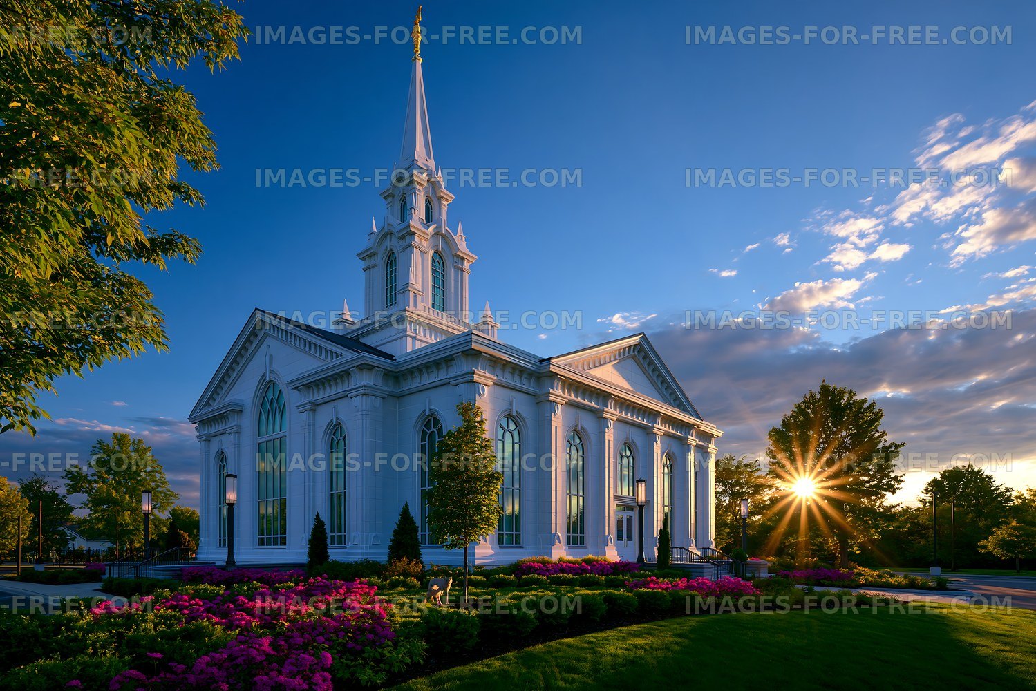 Church building at sunset with flowers in foreground