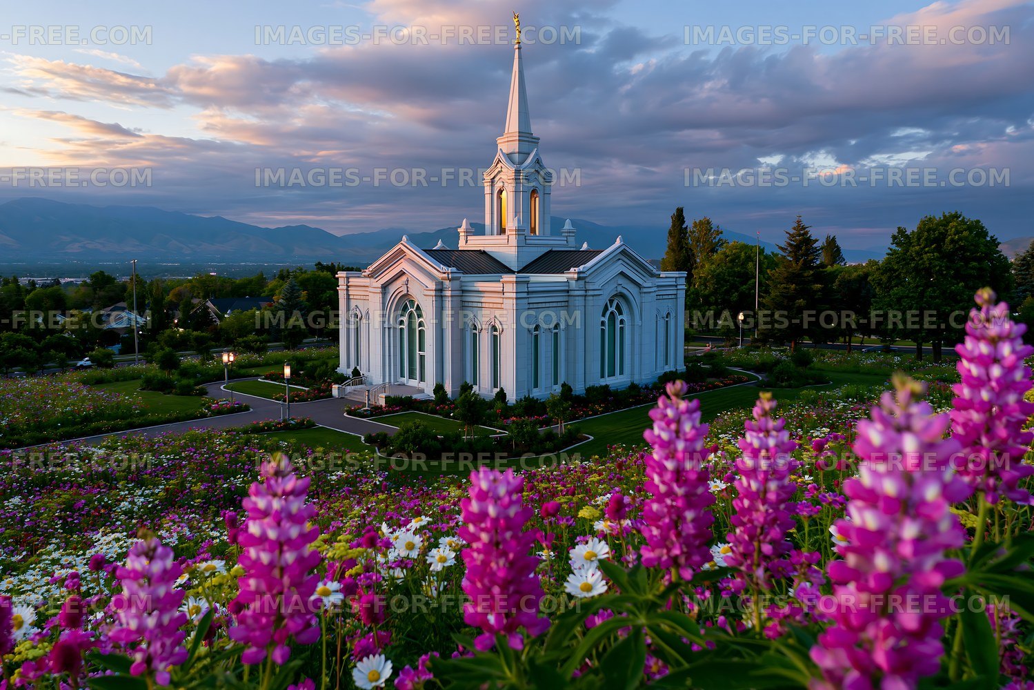 Sunset over a white church surrounded by colorful flowers