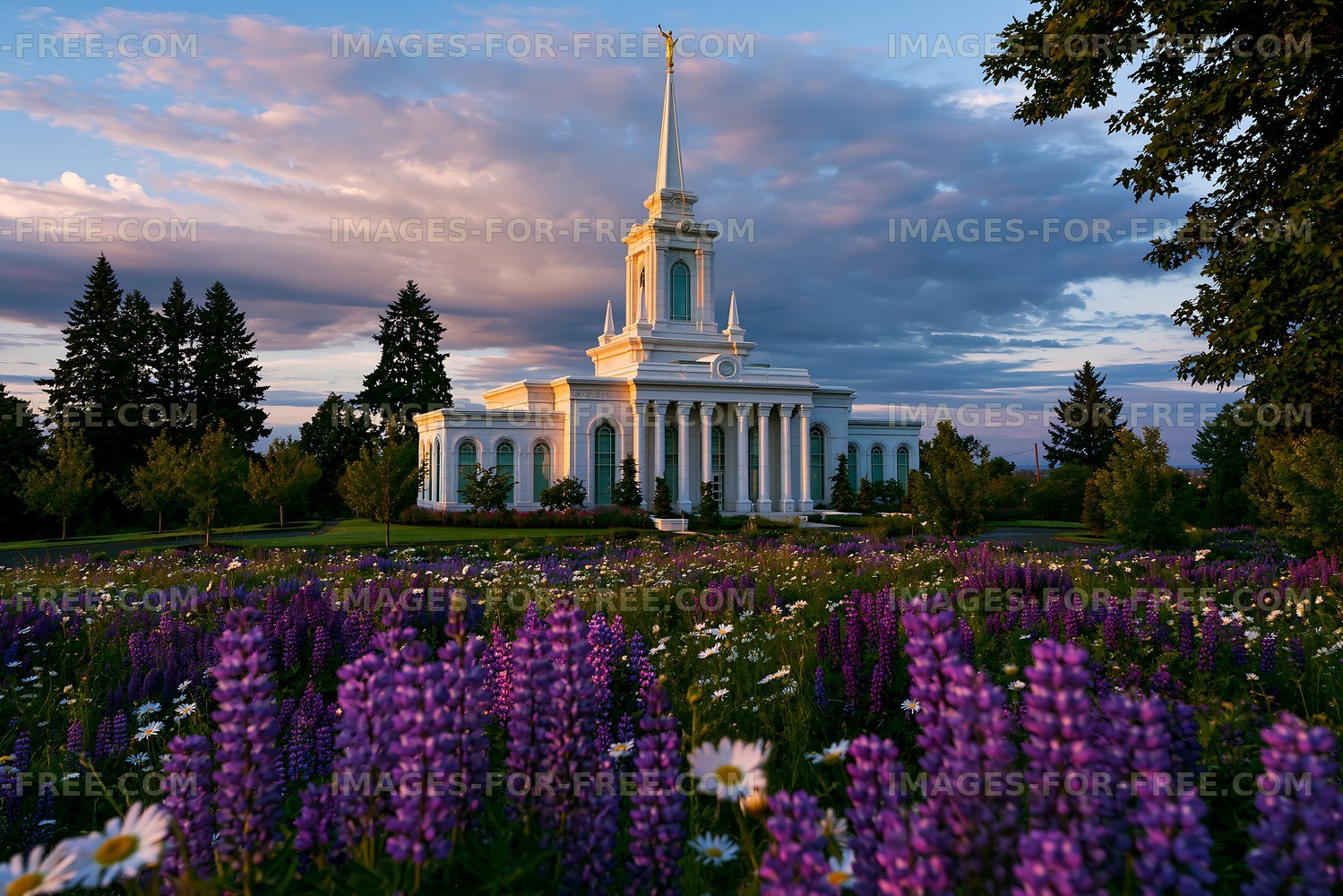 Church building surrounded by flowers and trees at sunset