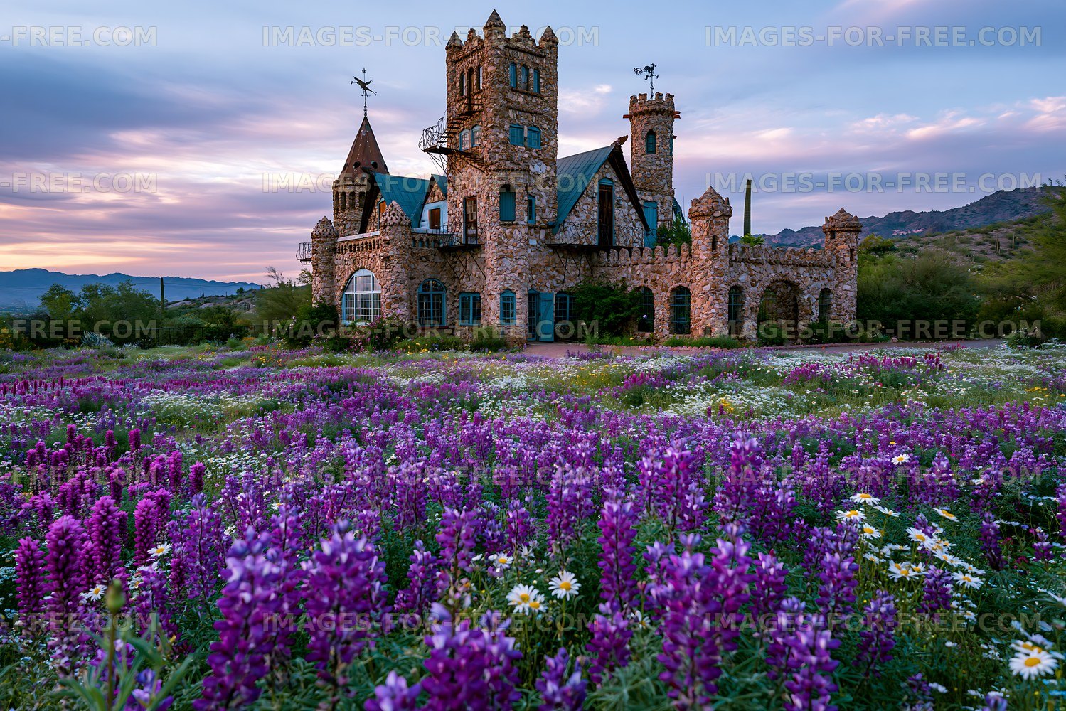 Castle surrounded by purple flowers at sunset in a rural area