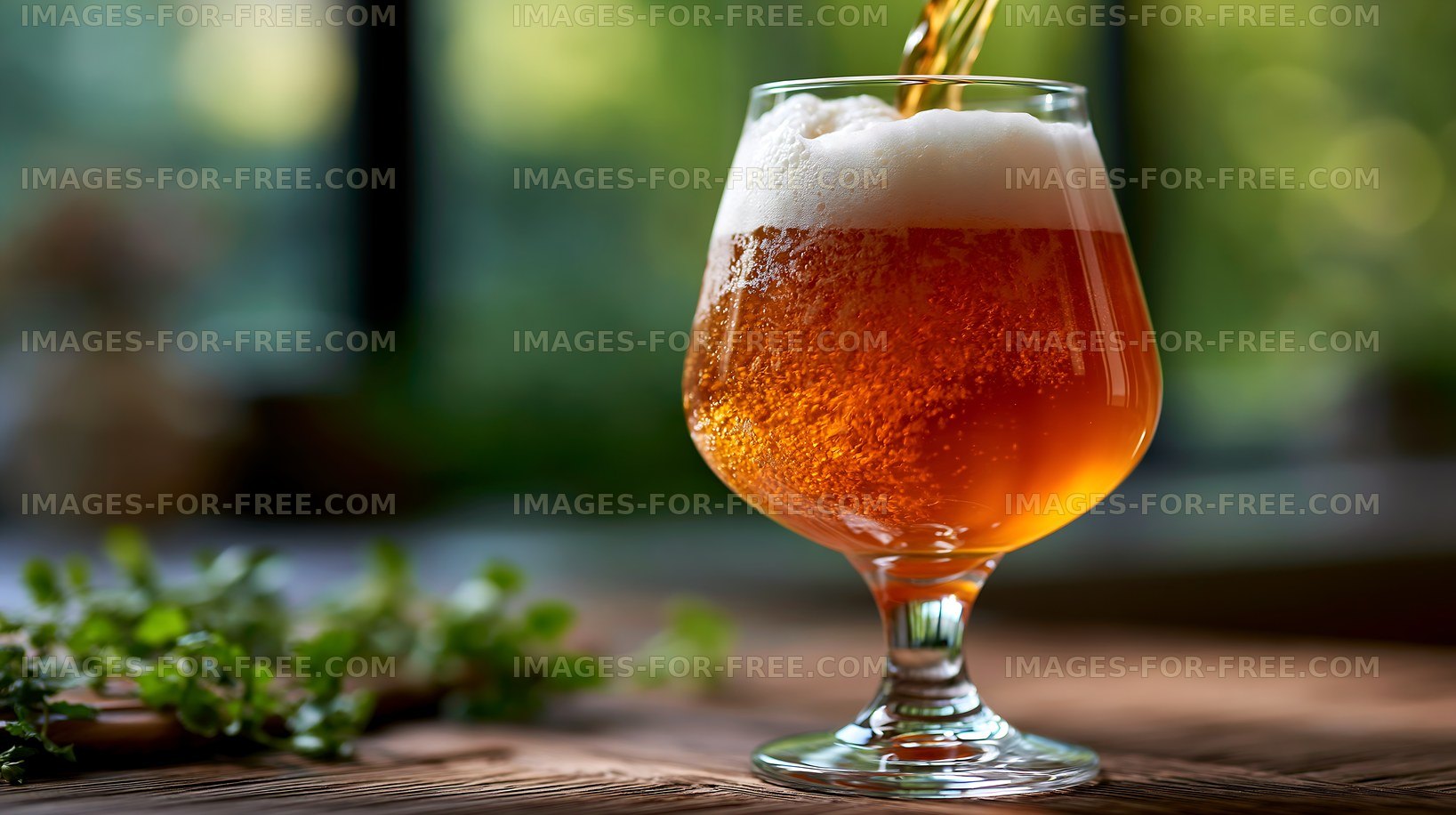 Pouring beer into a glass with bubbles and foam indoors