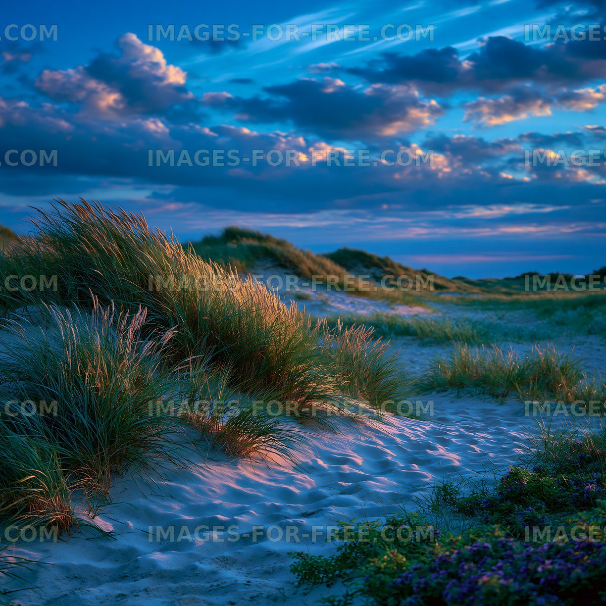 Sunset over sand dunes with grass and clouds