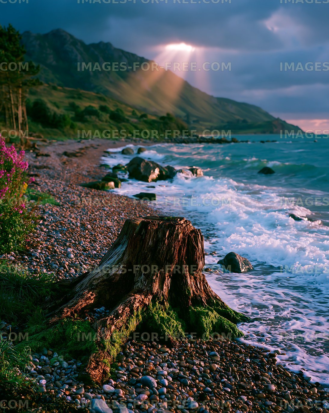 Sunlight breaks through clouds over rocky beach with driftwood