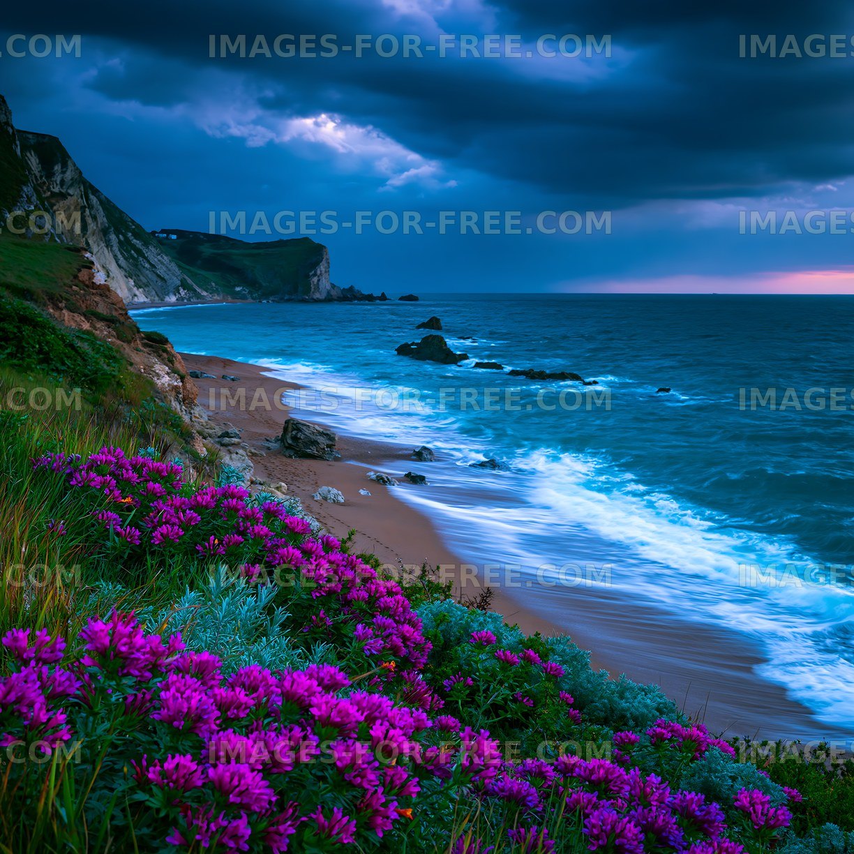 Coastal scene with flowers and cloudy sky near the shore
