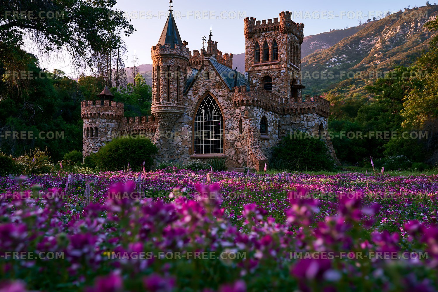 Castle surrounded by purple flowers in a valley setting