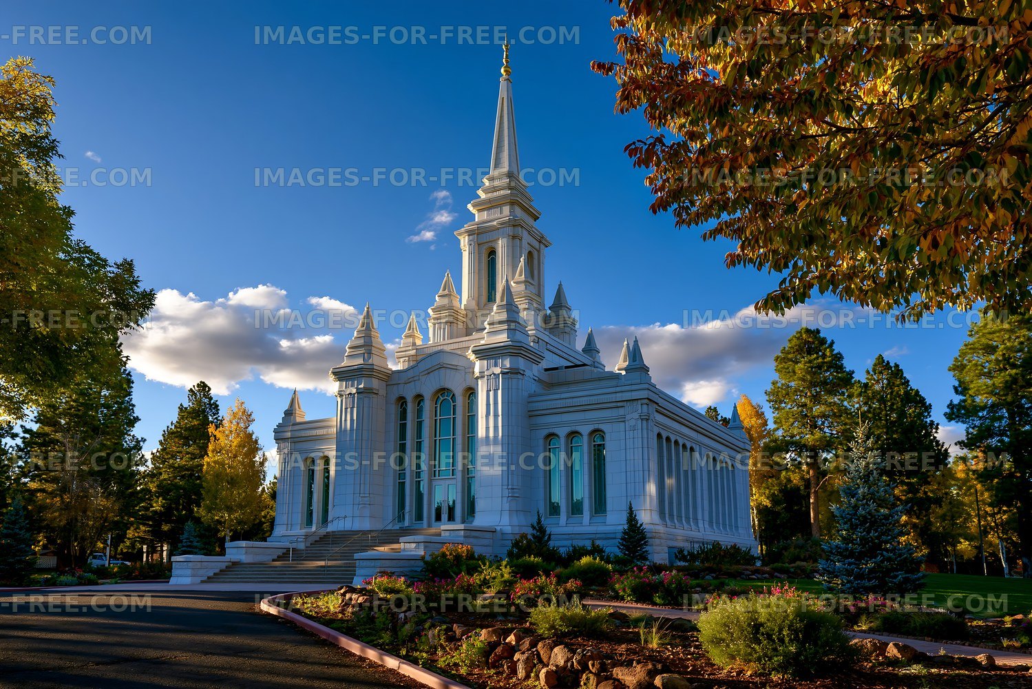 White church building with tall spire and trees in the background