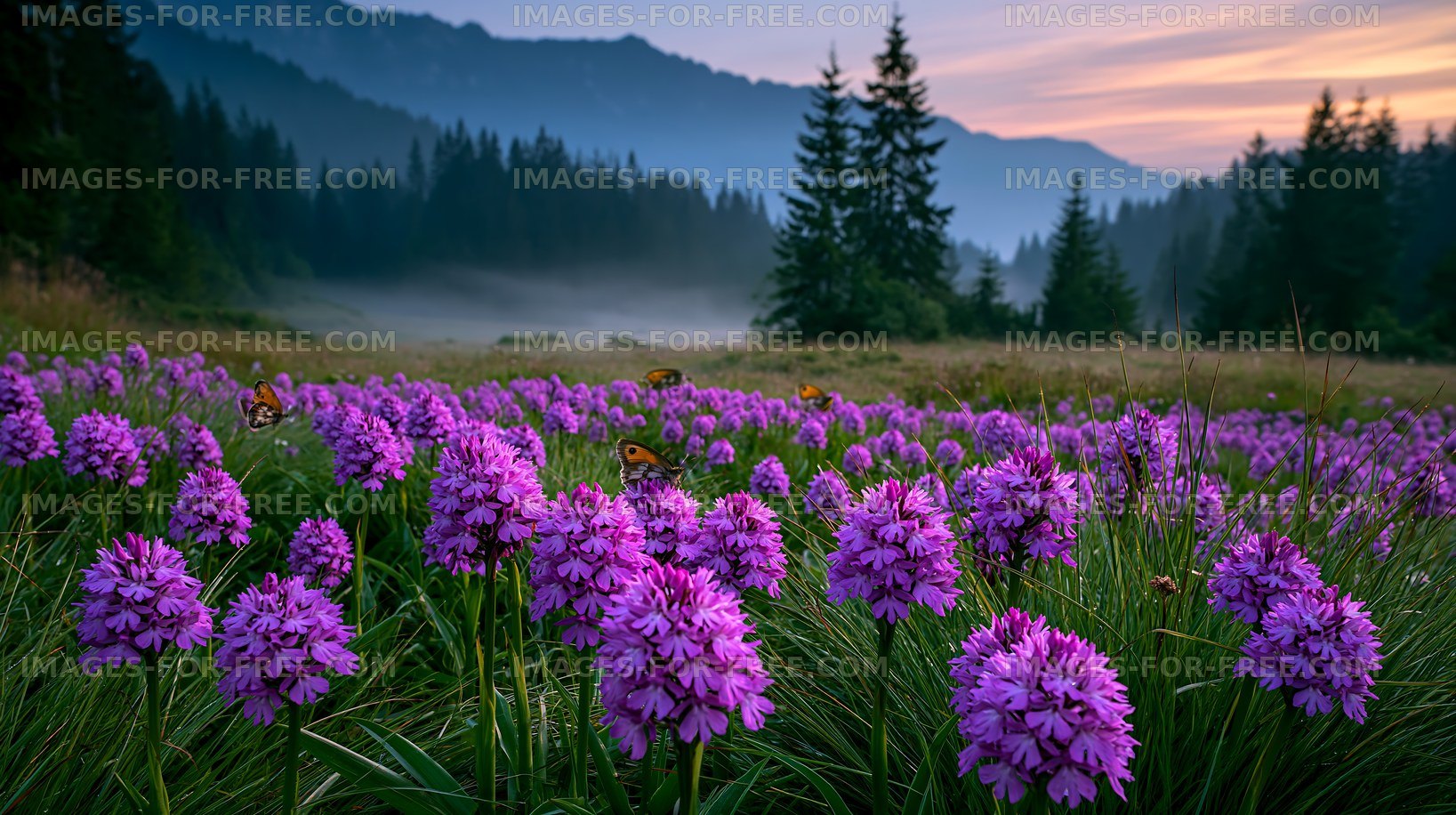 Purple flowers bloom in a meadow with mountains in the background