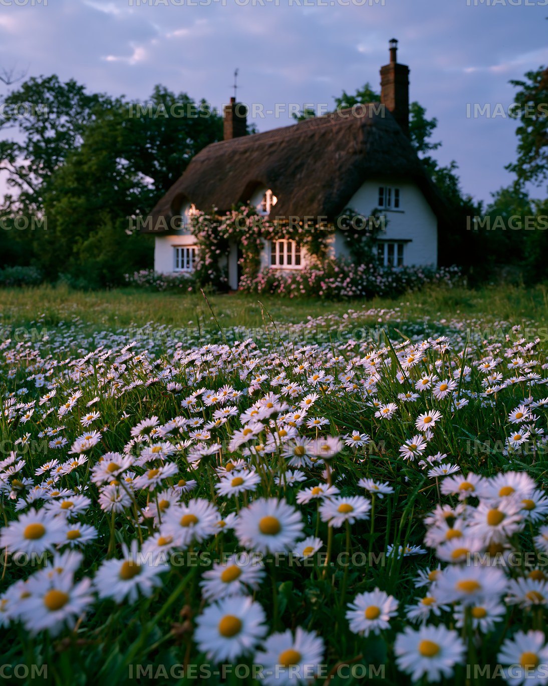 Cottage surrounded by flowers at dusk in a rural setting