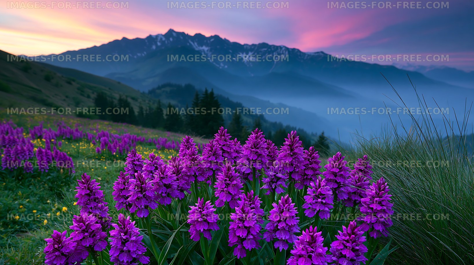 Mountain landscape with purple flowers under a colorful sky