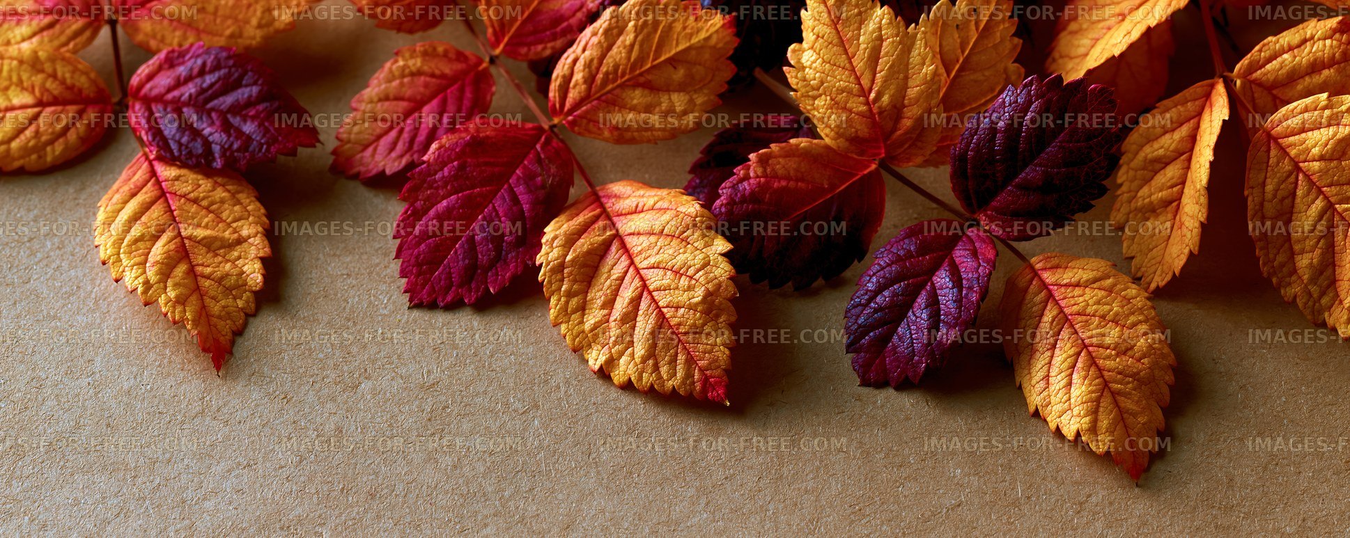 Colorful autumn leaves arranged on a brown surface