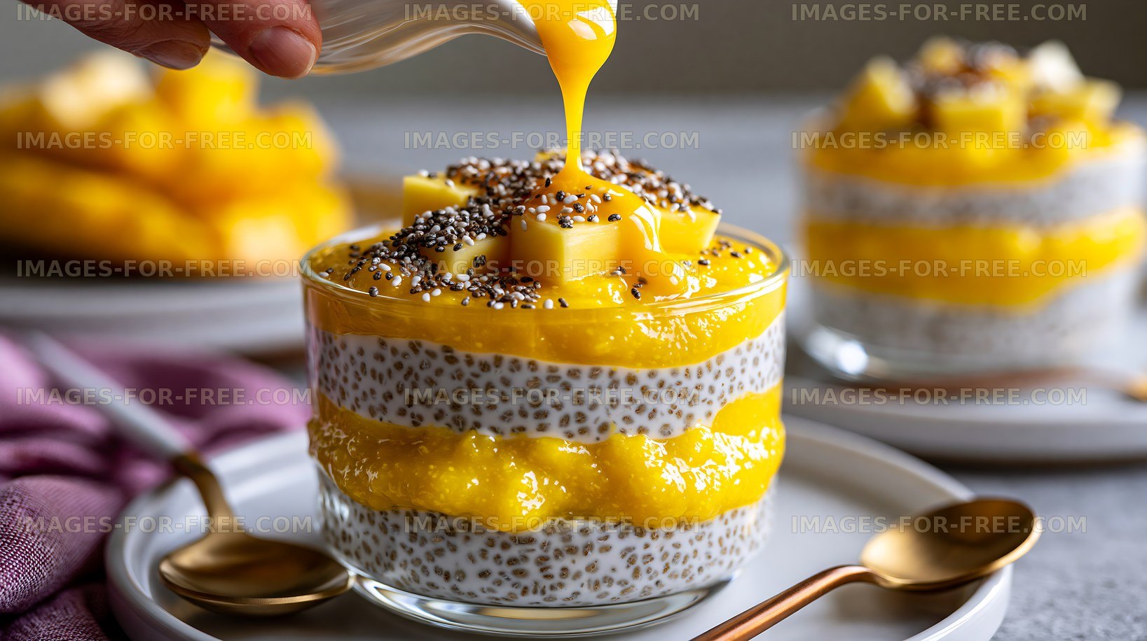Chia seed pudding with mango topping and cubes